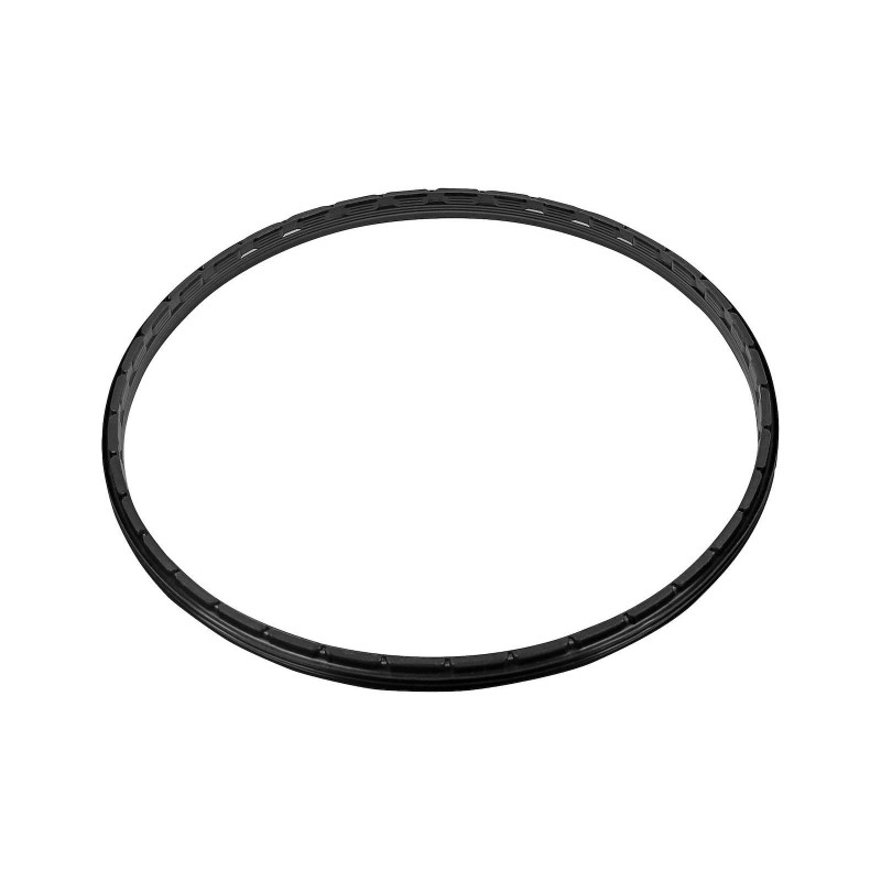 Oil Seal